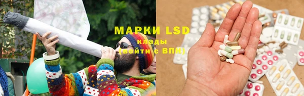 ПСИЛОЦИБИНОВЫЕ ГРИБЫ Гусь-Хрустальный