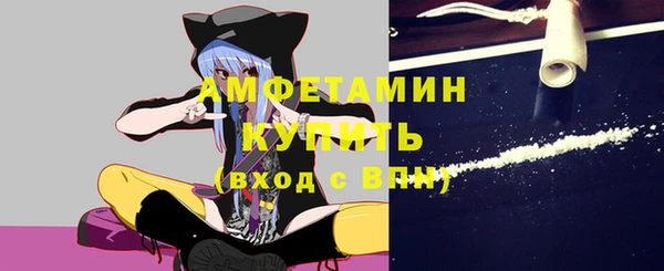 ПСИЛОЦИБИНОВЫЕ ГРИБЫ Гусь-Хрустальный