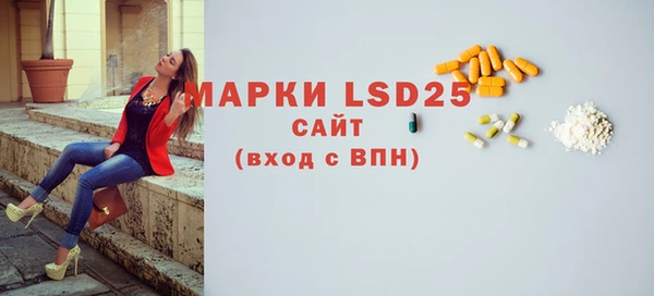 ПСИЛОЦИБИНОВЫЕ ГРИБЫ Гусь-Хрустальный