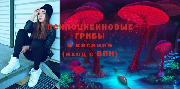 mdpv Гусев