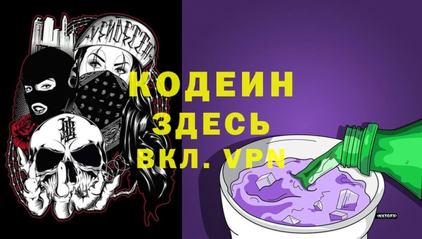 ПСИЛОЦИБИНОВЫЕ ГРИБЫ Гусь-Хрустальный
