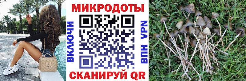 Псилоцибиновые грибы Cubensis  МЕГА рабочий сайт  Пионерский 
